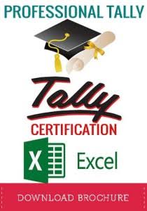 TP ( TALLY PROFESSIONAL )